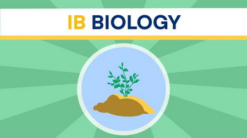 IB Biology